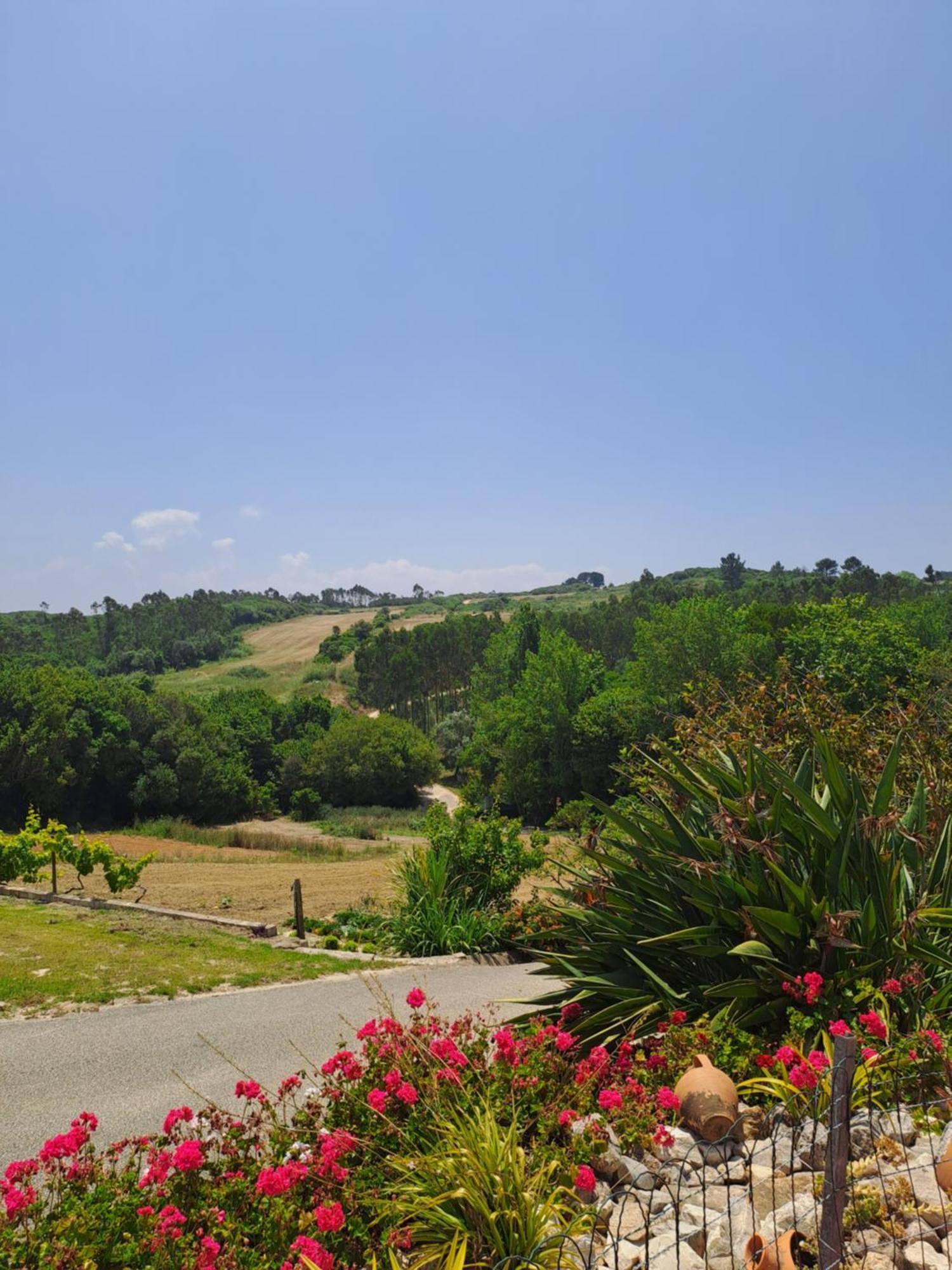 Вилла Quinta Da Fonte - Casa Da Charrete Калдаш-да-Раинья Экстерьер фото